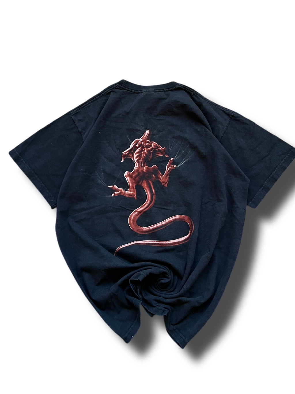 Vintage graphic fruit of the loom dragon triko