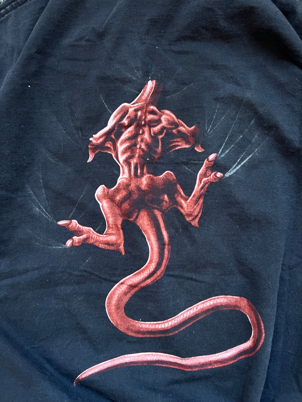 Vintage graphic fruit of the loom dragon triko