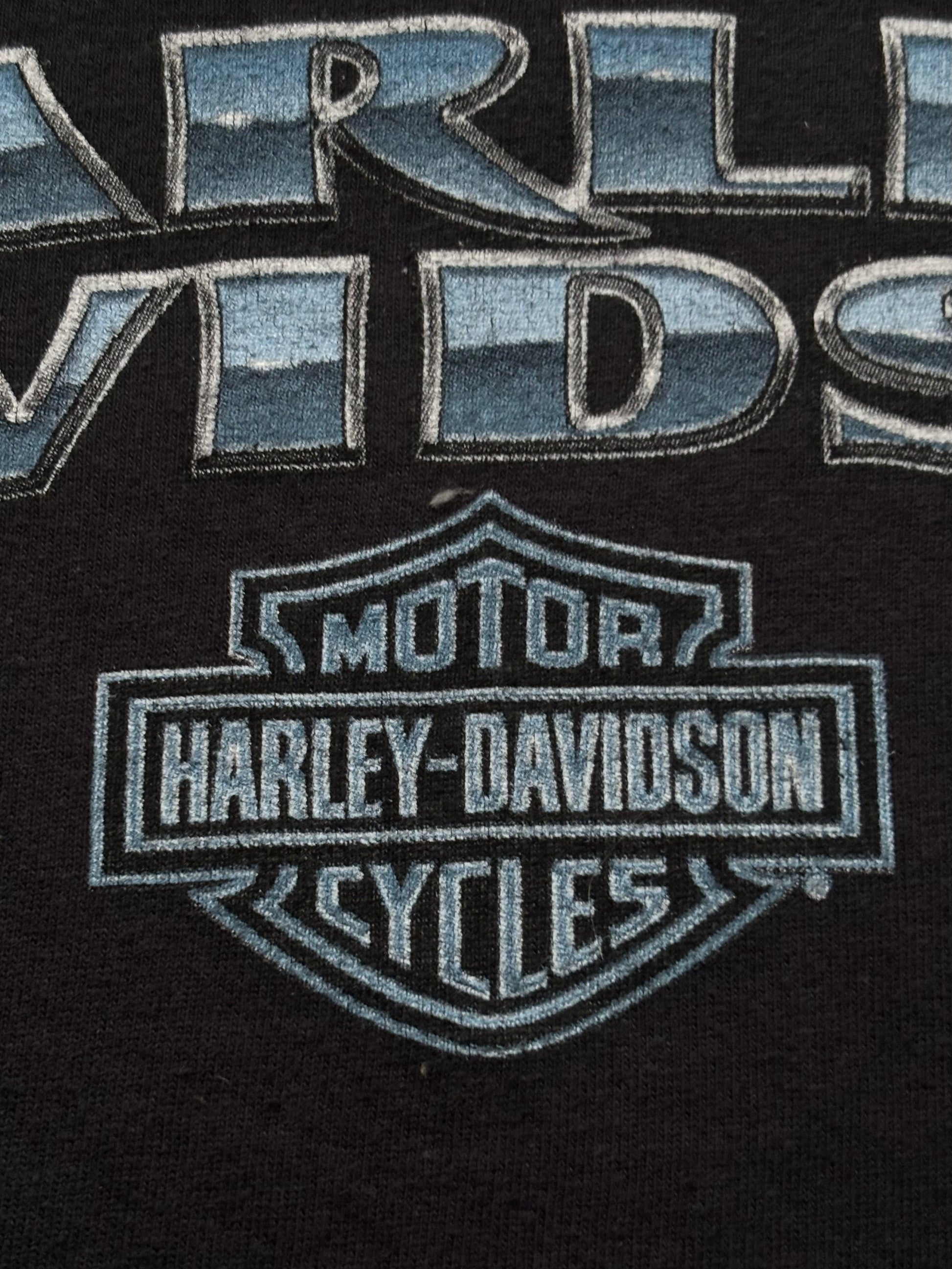 Vintage 2000s Harley Davidson baggy tričko