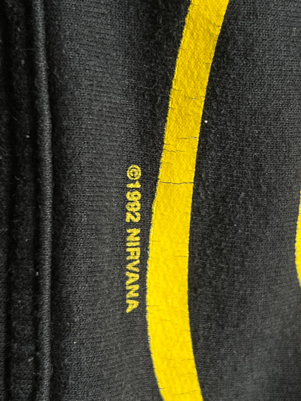 1992 graphic Nirvana hoodie